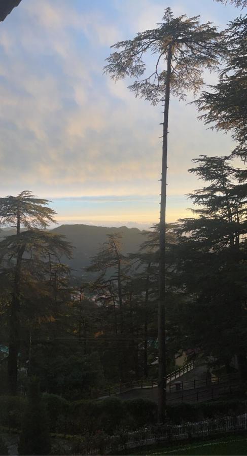 The Edgeworth Bed & Breakfast Shimla Eksteriør bilde